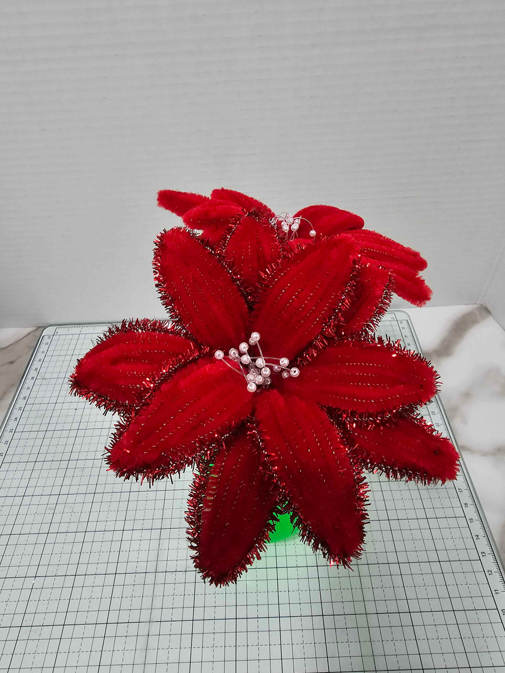 Poinsettia