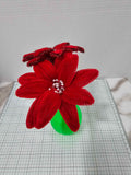 Poinsettia
