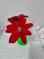 Poinsettia